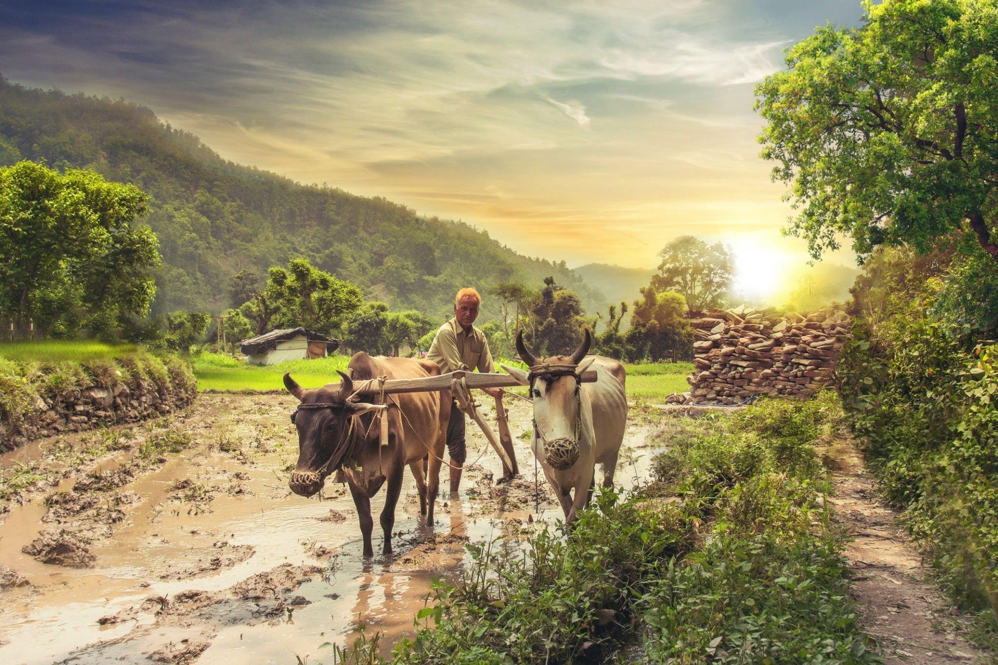 Agriculture Reform